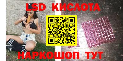 индика Можга