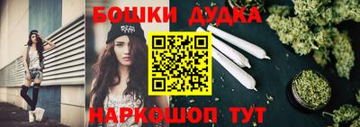 индика Можга