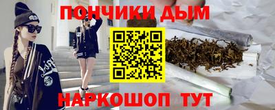 индика Можга