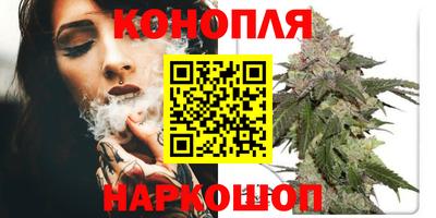 индика Можга