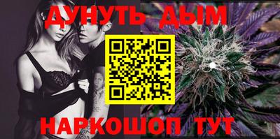 индика Можга