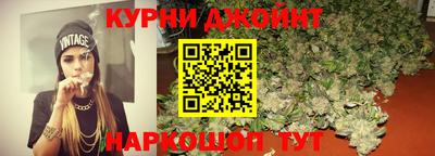 индика Можга