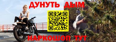 индика Можга