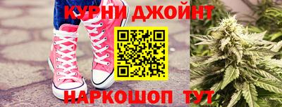 индика Можга
